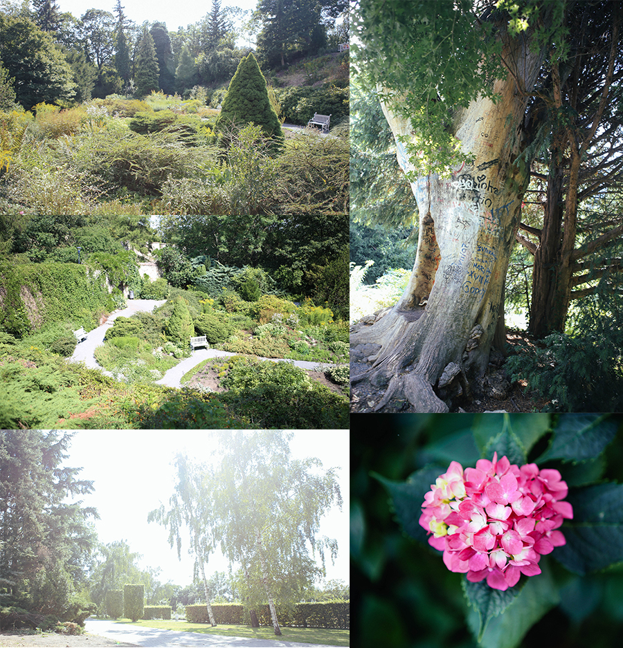 1367_portretni_fotograf_praha_fotka