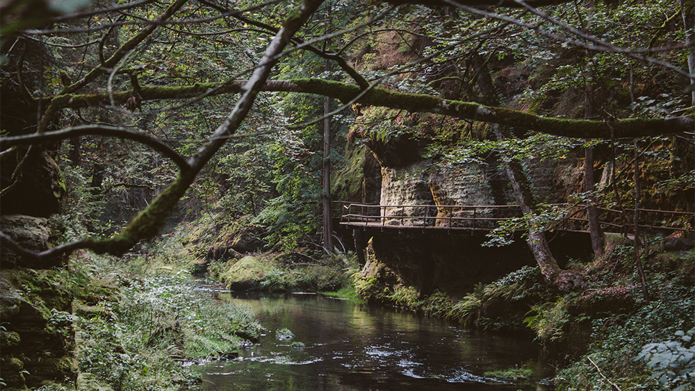 1396_portretni_fotograf_praha_fotka