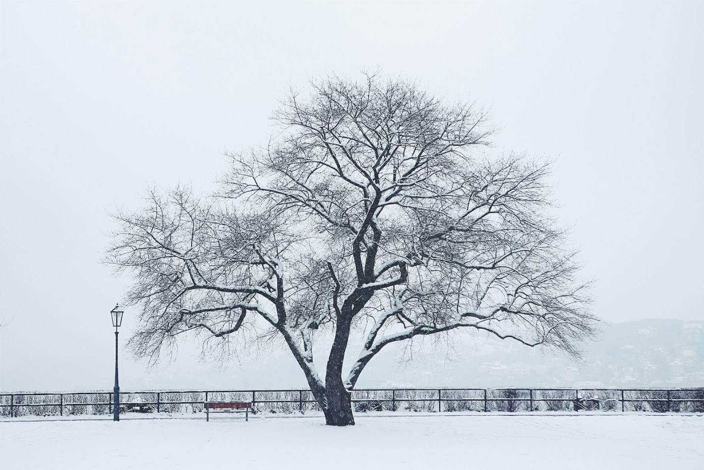 2016-01-17-04.53.23-1