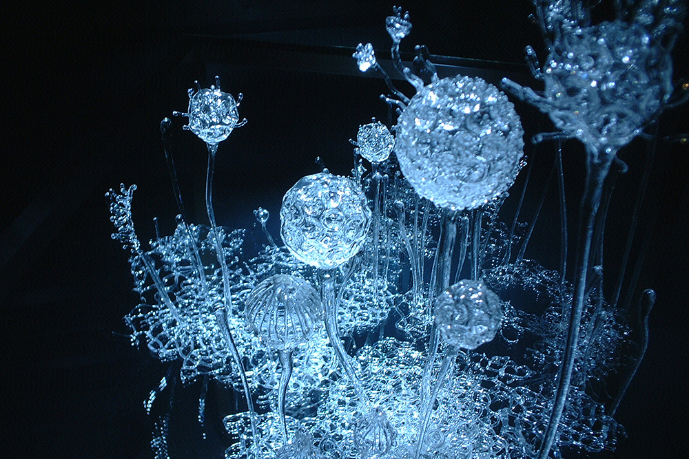 1556_portretni_fotograf_praha_fotka