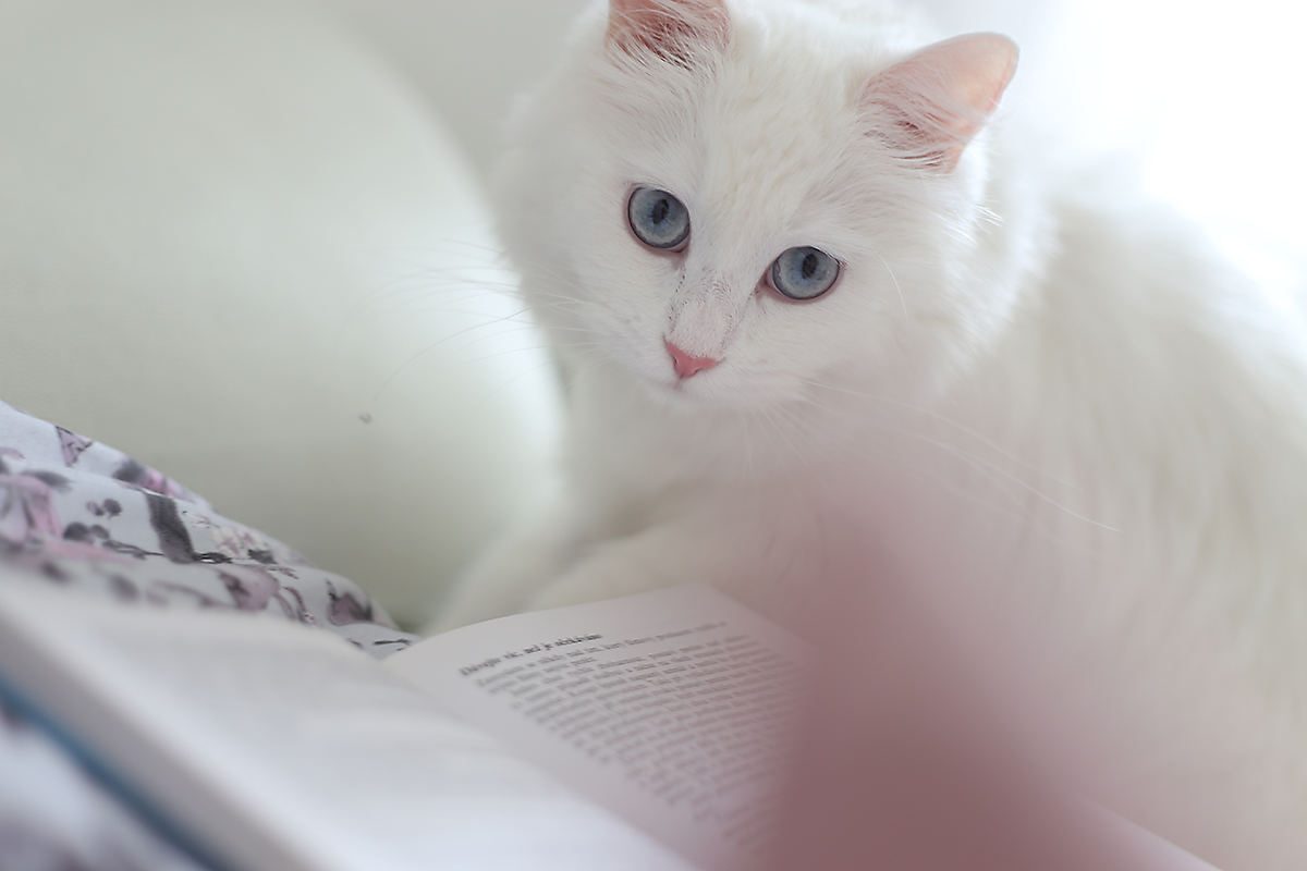 1593_portretni_fotograf_praha_fotka