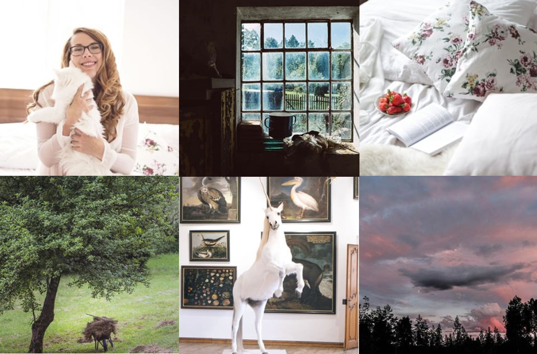 Ohlédnutí fotograf Praha